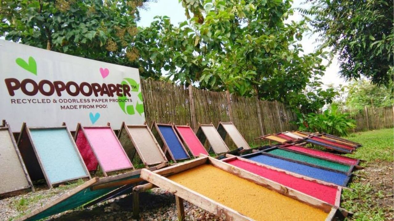 Some of the paper produced at the park | Photo taken from Elephant Poopoopaper park Facebook page