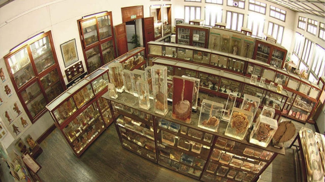 Displays inside the Siriraj Medical Museum | Photo taken from Your Thai Guide website