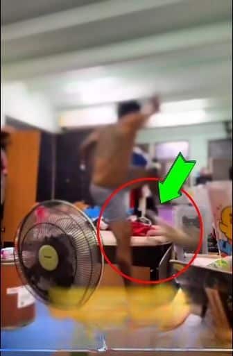 Bangkok beauty shop sacks worker who kicked cat on video | News by Thaiger