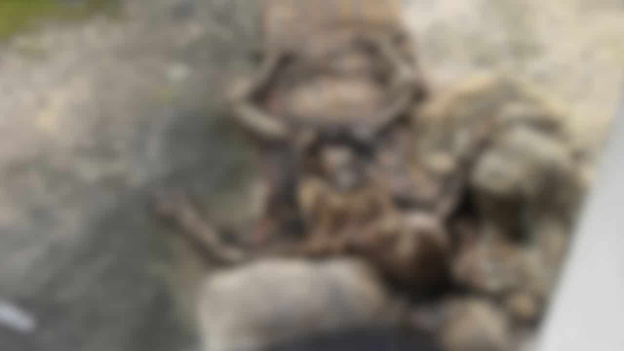Skeleton found in abandoned building in Nonthaburi