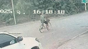 Thai man found dead with leg chained to tree in Nakhon Pathom | Thaiger