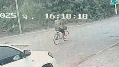 Thai man found dead with leg chained to tree in Nakhon Pathom | Thaiger
