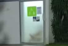Thai couple caught on viral videos having sex in disabled bathroom | Thaiger