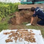 Backhoe driver uncovers skeleton outside naval hospital in Chon Buri | Thaiger