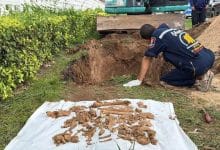 Backhoe driver uncovers skeleton outside naval hospital in Chon Buri | Thaiger
