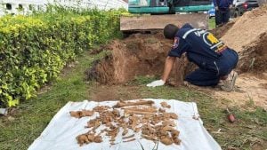 Backhoe driver uncovers skeleton outside naval hospital in Chon Buri | Thaiger