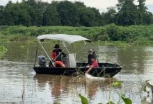 Body of pregnant woman found after tugboat capsizes in Ayutthaya river | Thaiger
