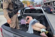 Naked foreign man escorted to hospital after blocking traffic in Pattaya | Thaiger