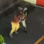 Bangkok taxi rider fights foreign passenger over drop-off spot dispute | Thaiger