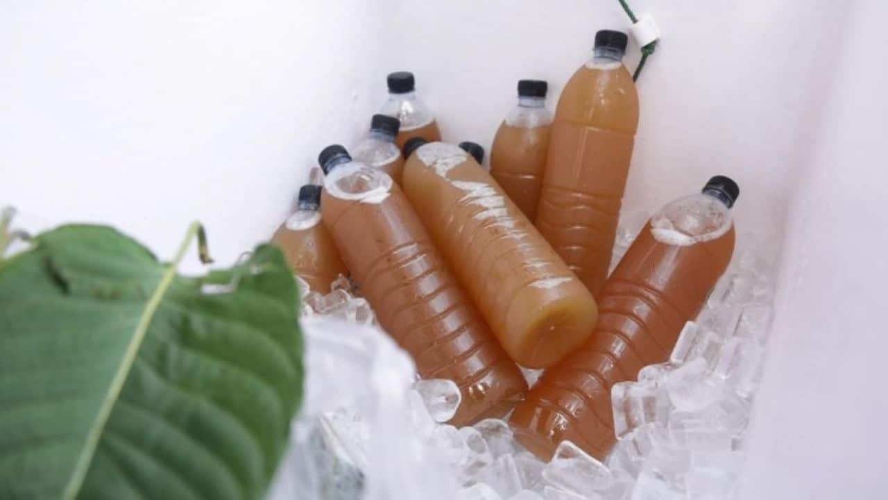kratom drink