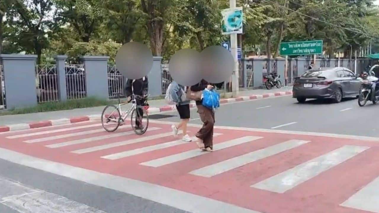 car accidents on zebra crossing