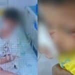 Thai boy hospitalised after buffalo attack at Buriram home | Thaiger