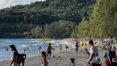 Phuket pushes for stricter cannabis rules to protect tourism image | Thaiger