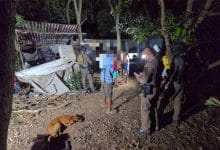 Boozy brawl ends in deadly stabbing in Chon Buri hillside home | Thaiger