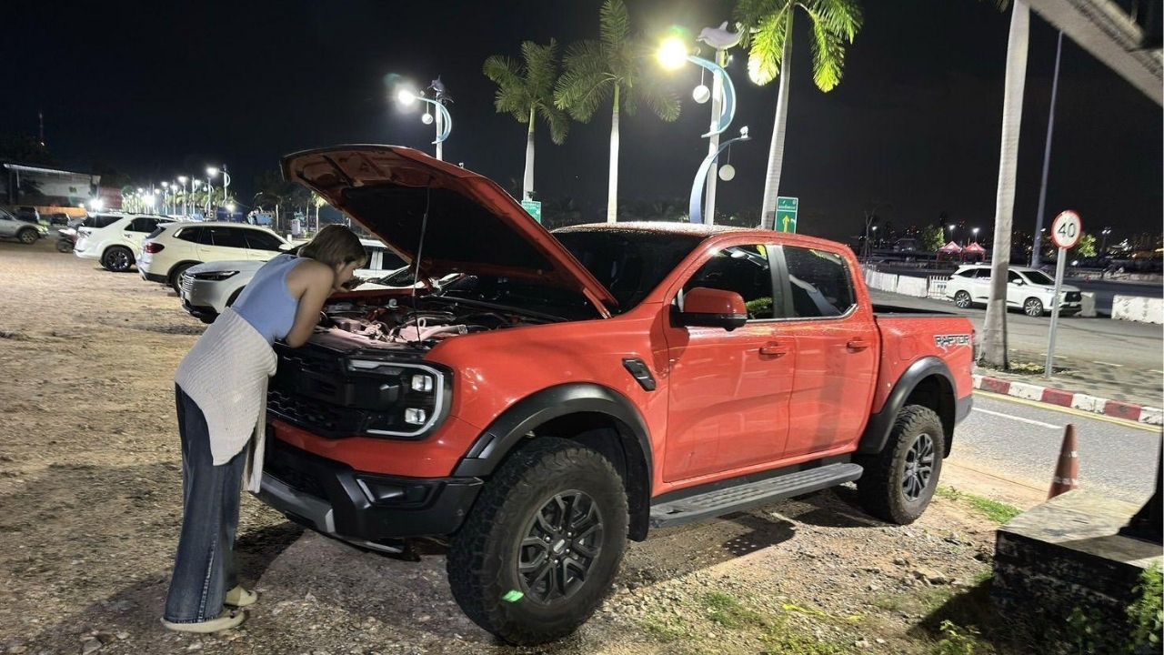 Stray dogs blamed for 100k baht damage to pickup in Pattaya | Thaiger