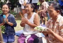 Banana tree miracle draws lottery hopefuls in Phetchabun | Thaiger