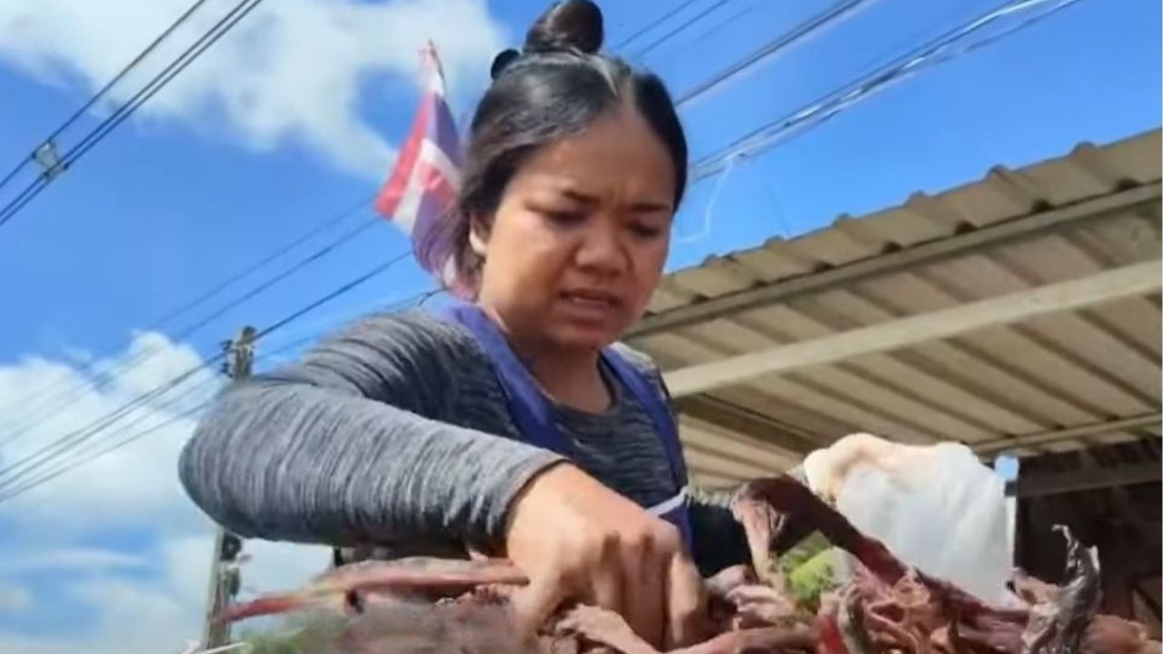 Vendors plead for peace as border tensions crush Surin trade (video) | Thaiger