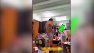 Bangkok beauty shop sacks worker who kicked cat on video | Thaiger