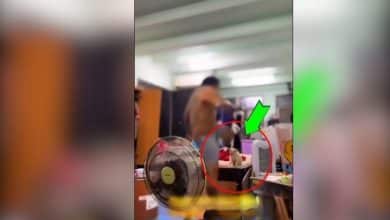 Bangkok beauty shop sacks worker who kicked cat on video | Thaiger