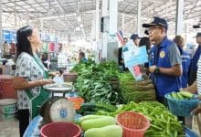 Snail-paced start for Phuket’s new co-payment scheme | Thaiger