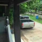 Northeast Thailand loan sharks steal rabbit in debt dispute | Thaiger