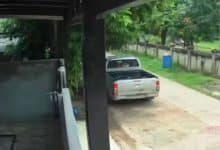 Northeast Thailand loan sharks steal rabbit in debt dispute | Thaiger