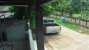 Northeast Thailand loan sharks steal rabbit in debt dispute | Thaiger