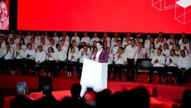 Curtain call: Paetongtarn quits Pheu Thai ahead of party shake-up | Thaiger