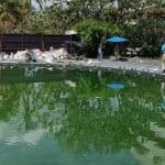 Poolside tragedy: Worker electrocuted at Phuket hotel | Thaiger