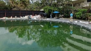 Poolside tragedy: Worker electrocuted at Phuket hotel | Thaiger