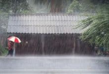 Cool mornings, rain and rough seas forecast across Thailand | Thaiger
