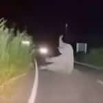 Ambulance crash in Chachoengsao hits elephant in the room | Thaiger