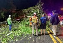Tree and power pole fall cuts traffic on Patong Hill road | Thaiger