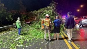Tree and power pole fall cuts traffic on Patong Hill road | Thaiger