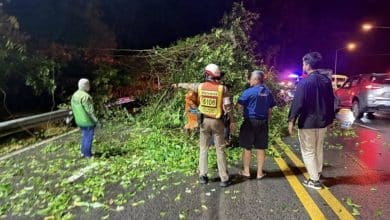 Tree and power pole fall cuts traffic on Patong Hill road | Thaiger