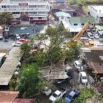 Storm topples giant tree, crushes police cars in Ayutthaya | Thaiger