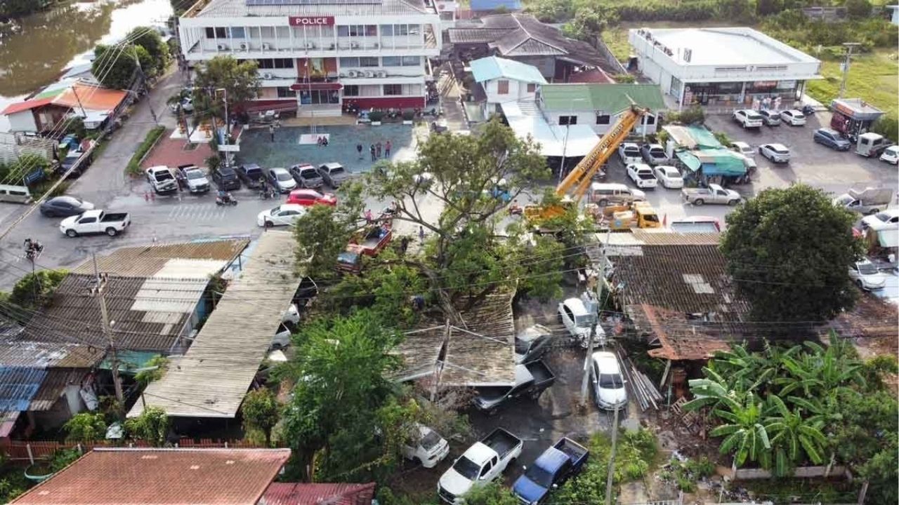 Storm topples giant tree, crushes police cars in Ayutthaya | Thaiger