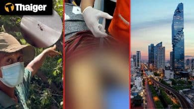 Thailand video news Thani Man Shot After Dispute with Neighbour, Thai Man Dies After Ant Bite While Trimming Trees in Samut Prakan | Thaiger