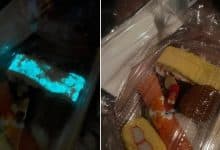 Glowing sushi causes health concern over bioluminescence | Thaiger