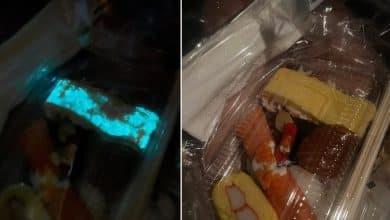 Glowing sushi causes health concern over bioluminescence | Thaiger