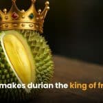 What makes the durian the king of fruits? | Thaiger
