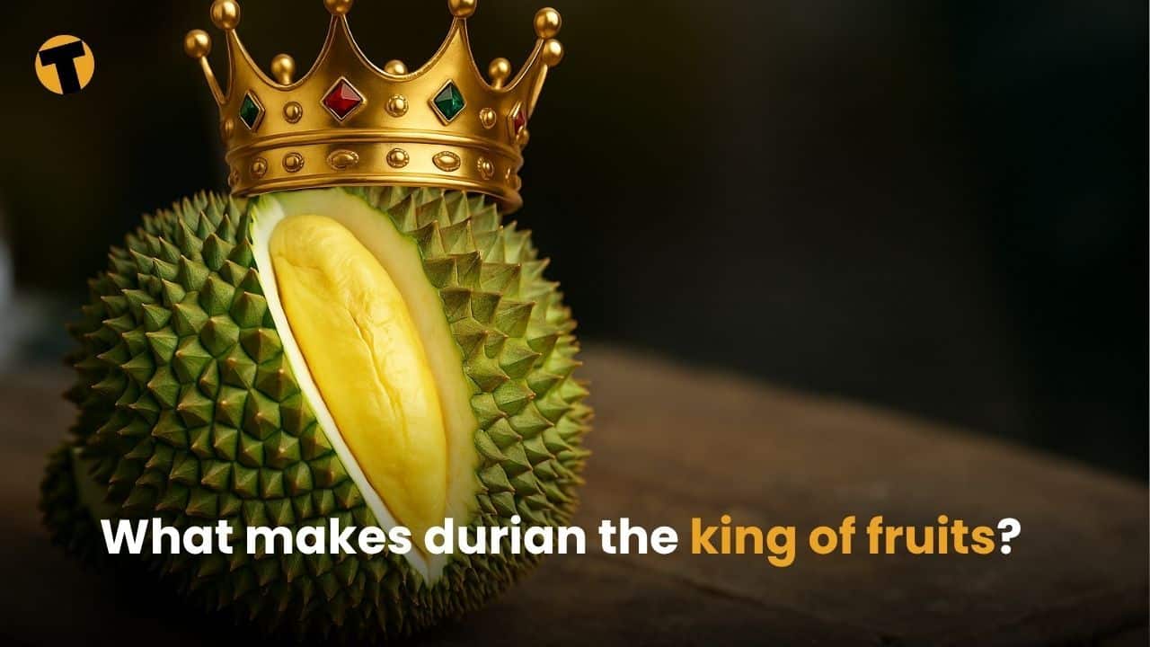 What makes the durian the king of fruits? | Thaiger