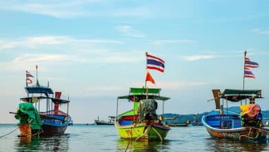 Parliament passes Fisheries Act amendment; concerns over marine conservation | Thaiger