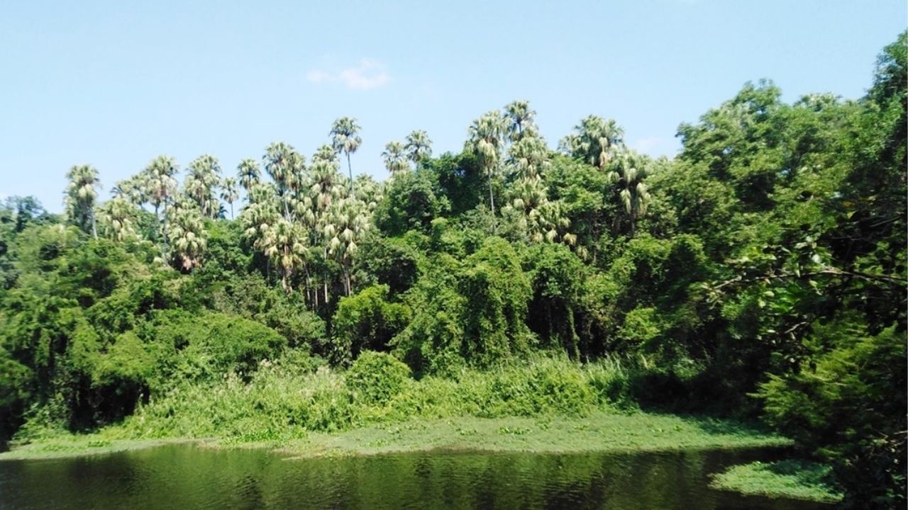 Kamchanod Forest haunted places in Thailand
