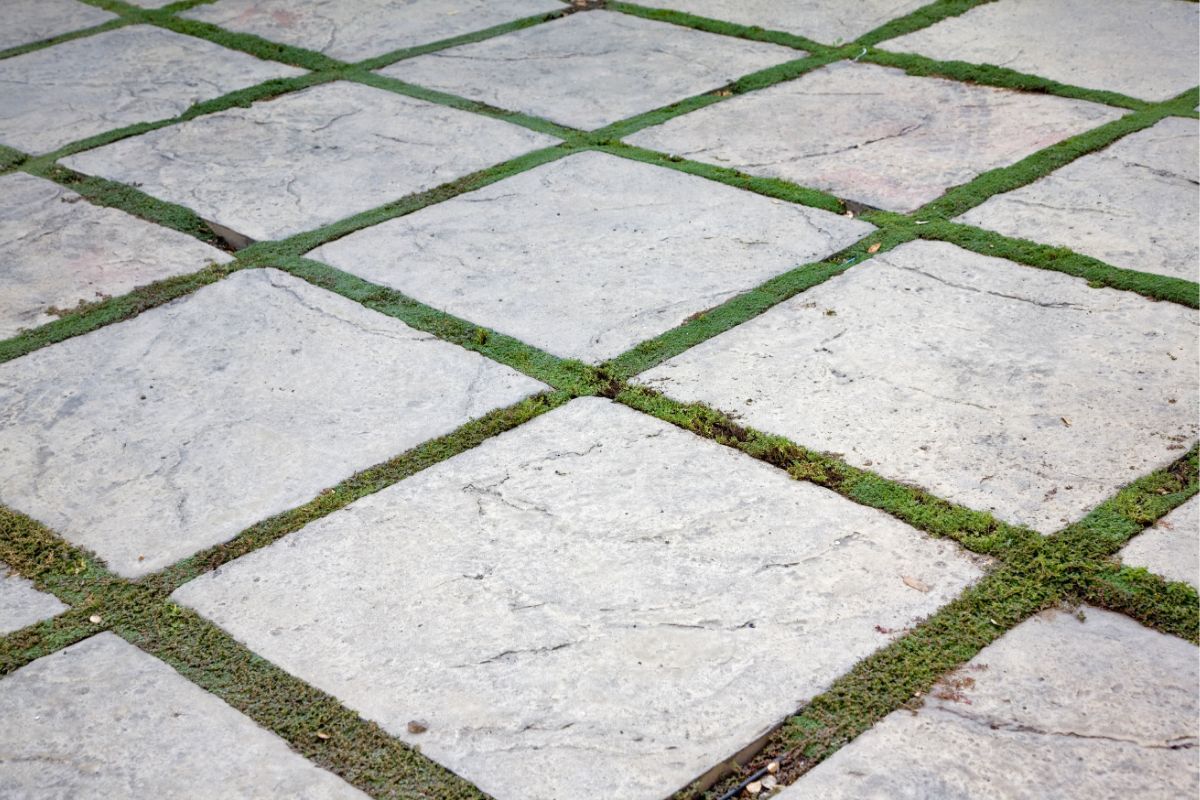 Permeable Interlocking Concrete Pavers (PICP)