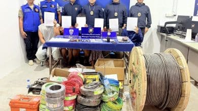 Police target illegal migrant labour on Koh Pha Ngan | Thaiger