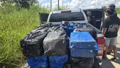 Police seize 4.4 million meth pills at Thailand-Myanmar border | Thaiger