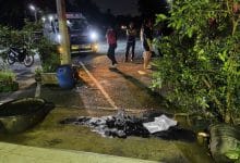 Monk killed in pet dispute at Nakhon Pathom temple | Thaiger