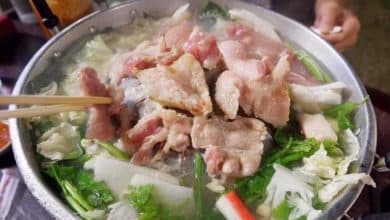 Jellyfish barbecue leaves five in hospital in Samut Prakan | Thaiger