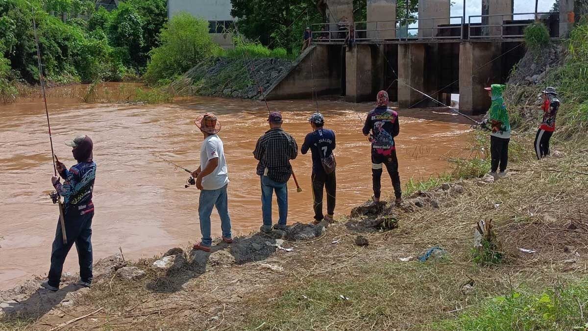 Crocodile scare grips Nakhon Sawan after flood alert issued | News by Thaiger